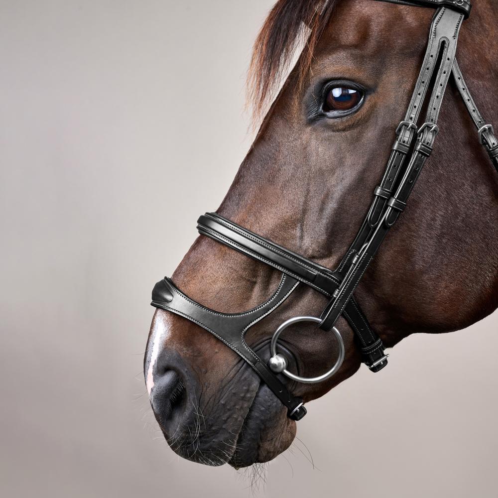 Double Noseband Bridle NE | Dy'on | premiumleather — Image 8
