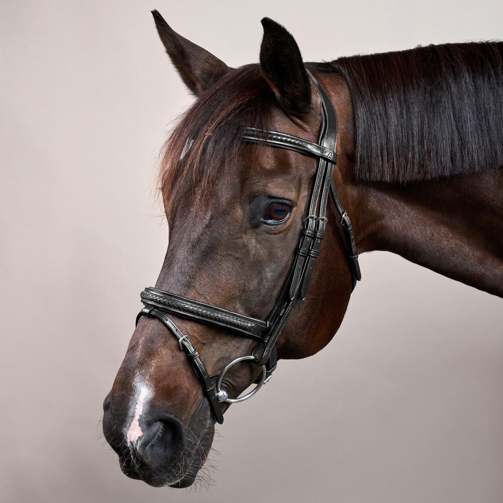 Plaited Flash Noseband Bridle NE | Dy'on | Comfort — Image 7