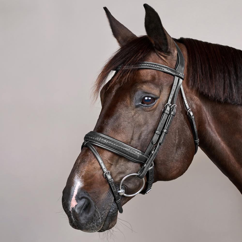 Plaited Flash Noseband Bridle with Pull back NE | Dy'on | PremiumLeather — Image 7