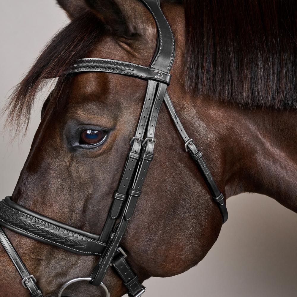 Plaited Flash Noseband Bridle with Pull back NE | Dy'on | PremiumLeather — Image 8