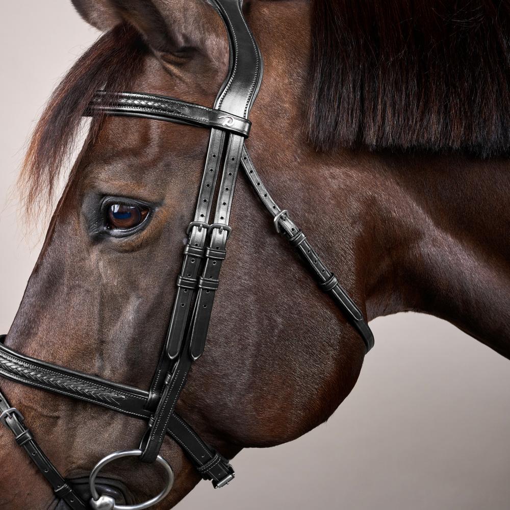 Plaited Flash Noseband Bridle NE | Dy'on | Comfort — Image 8