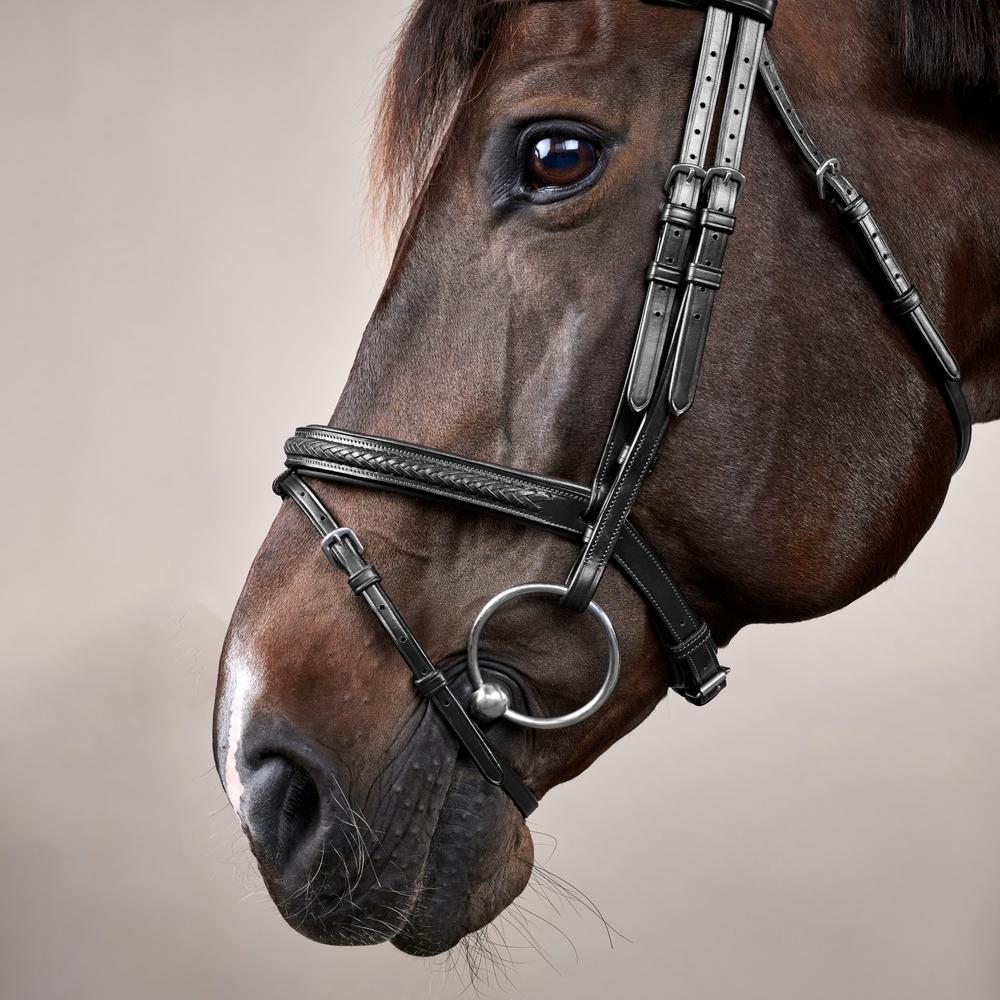 Plaited Flash Noseband Bridle NE | Dy'on | Comfort — Image 9