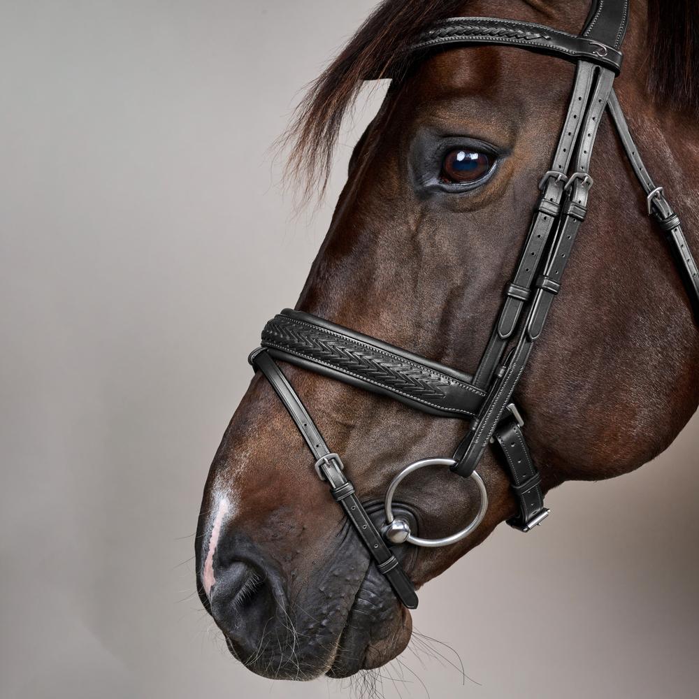Plaited Flash Noseband Bridle with Pull back NE | Dy'on | PremiumLeather — Image 9