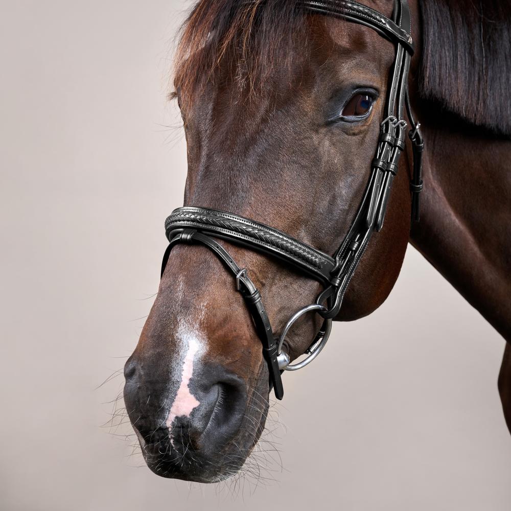 Plaited Flash Noseband Bridle NE | Dy'on | Comfort — Image 10