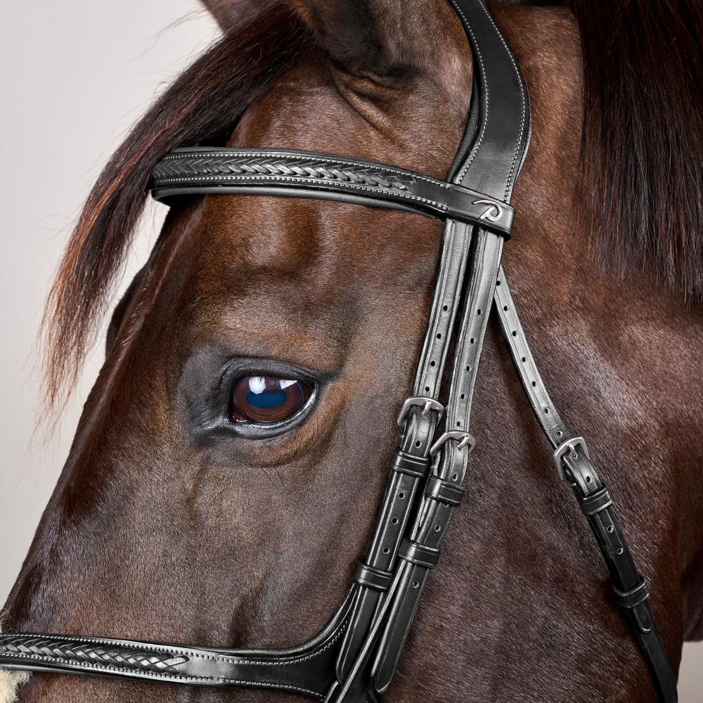 Plaited Figure 8 Noseband Bridle NE |  | premiumleather — Image 6
