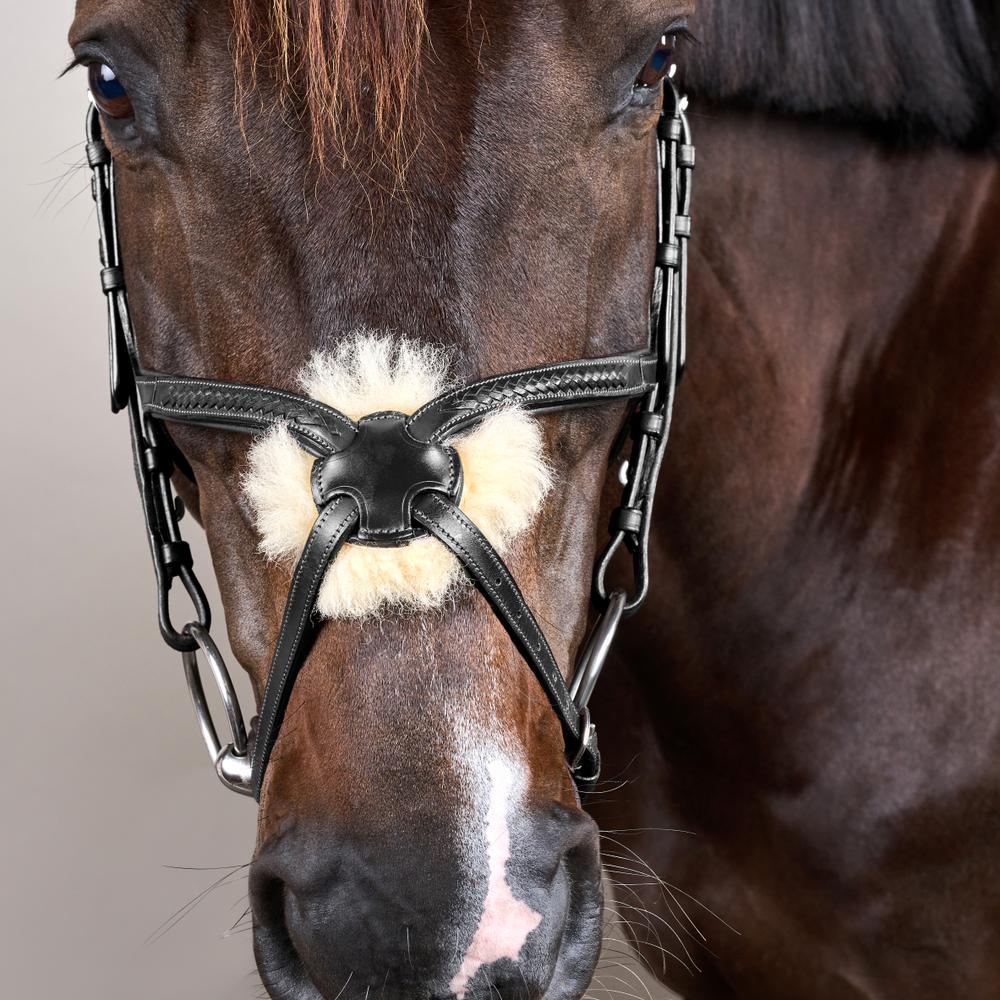 Plaited Figure 8 Noseband Bridle NE |  | premiumleather — Image 5