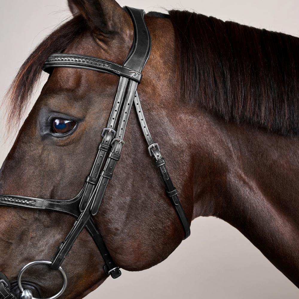Plaited Figure 8 Noseband Bridle NE |  | premiumleather — Image 3