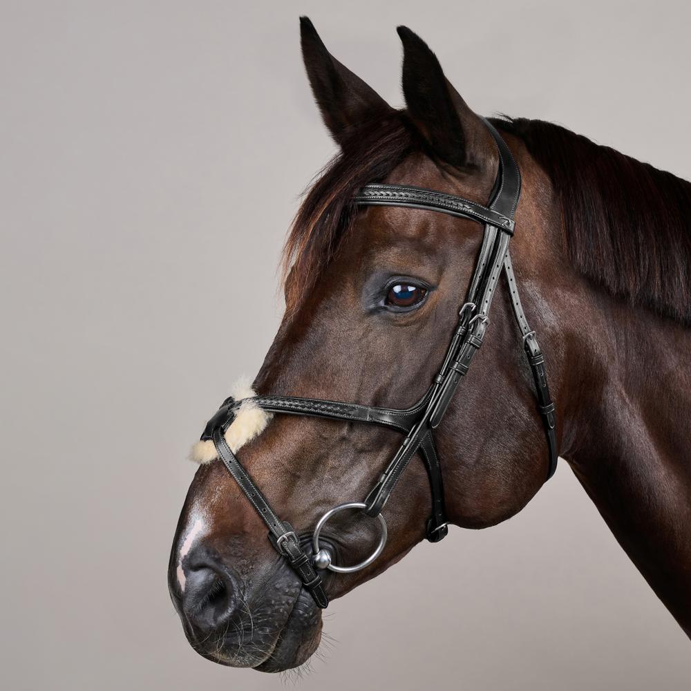 Plaited Figure 8 Noseband Bridle NE |  | premiumleather — Image 2