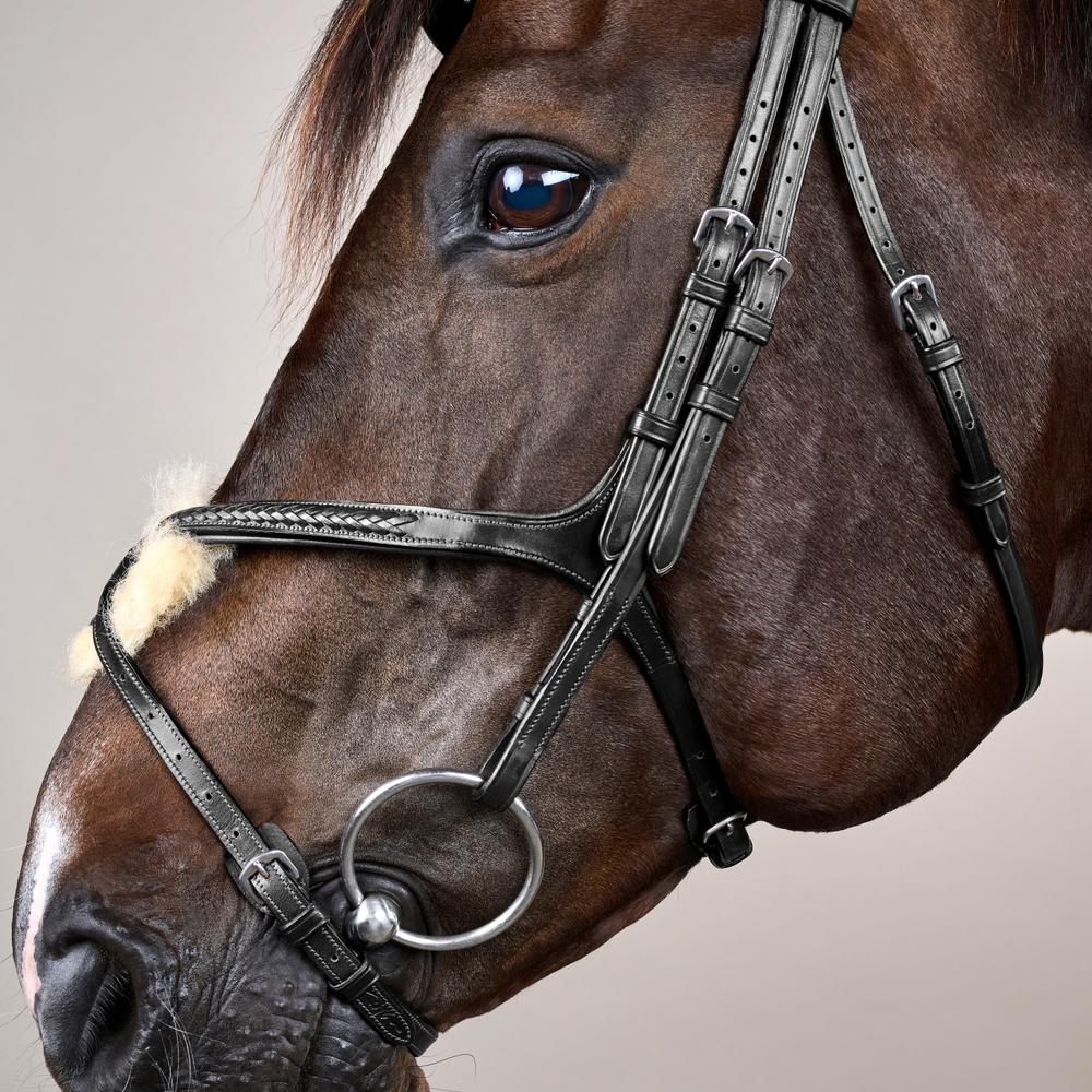 Plaited Figure 8 Noseband Bridle NE |  | premiumleather — Image 4