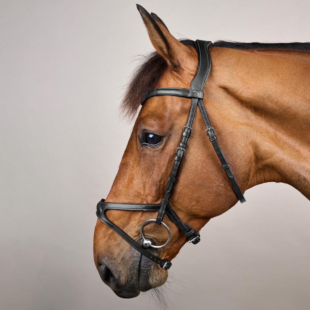X-Fit Bridle NE | Dy'on | Comfort — Image 8