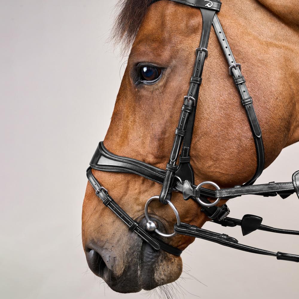 D Motion Bridle NE | Dy'on | Comfort — Image 20