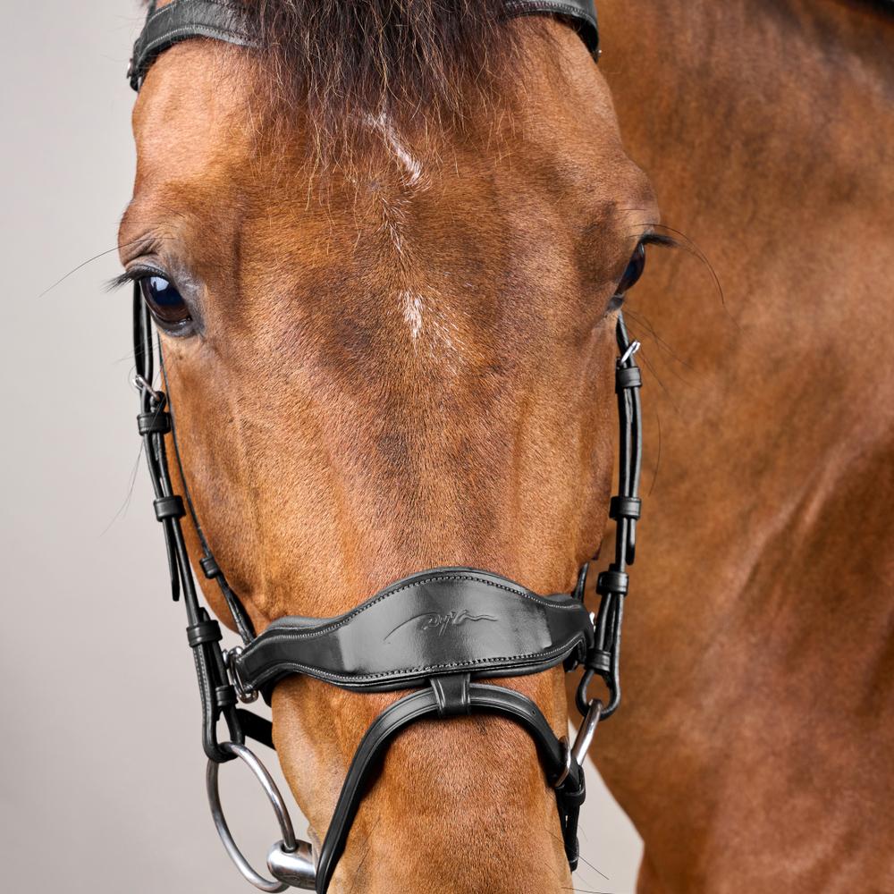 D Motion Bridle NE | Dy'on | Comfort — Image 19