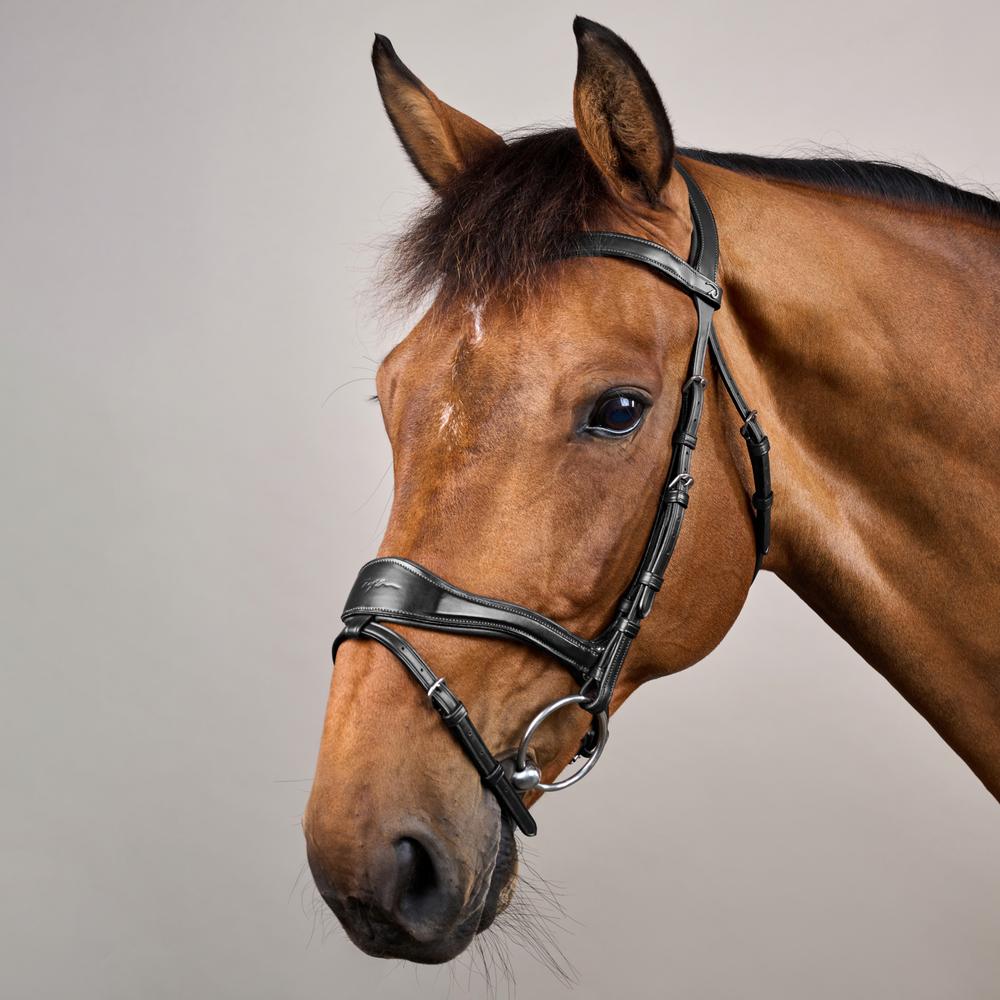 D Motion Bridle NE | Dy'on | Comfort — Image 14