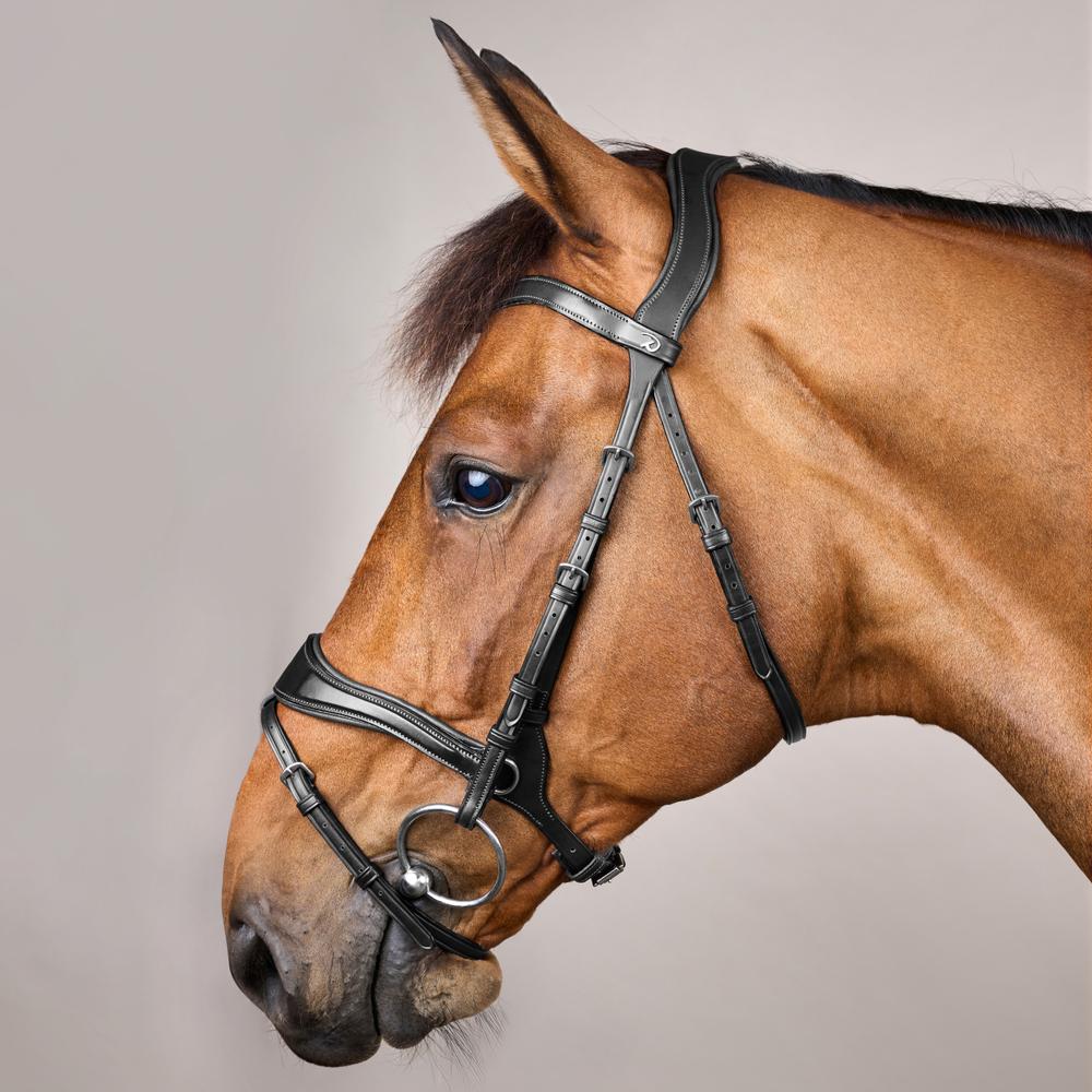 D Motion Bridle NE | Dy'on | Comfort — Image 18