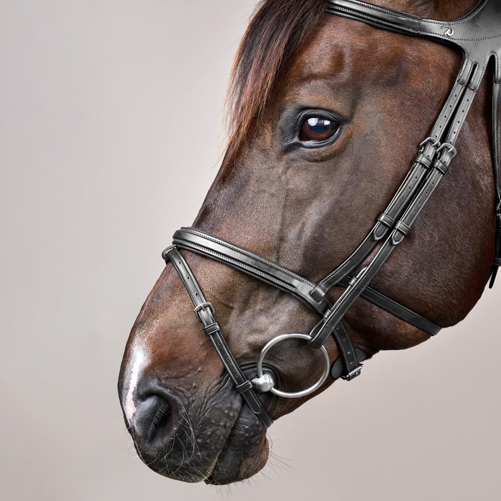 Difference Bridle NE | Dy'on | DurableLeather — Image 11