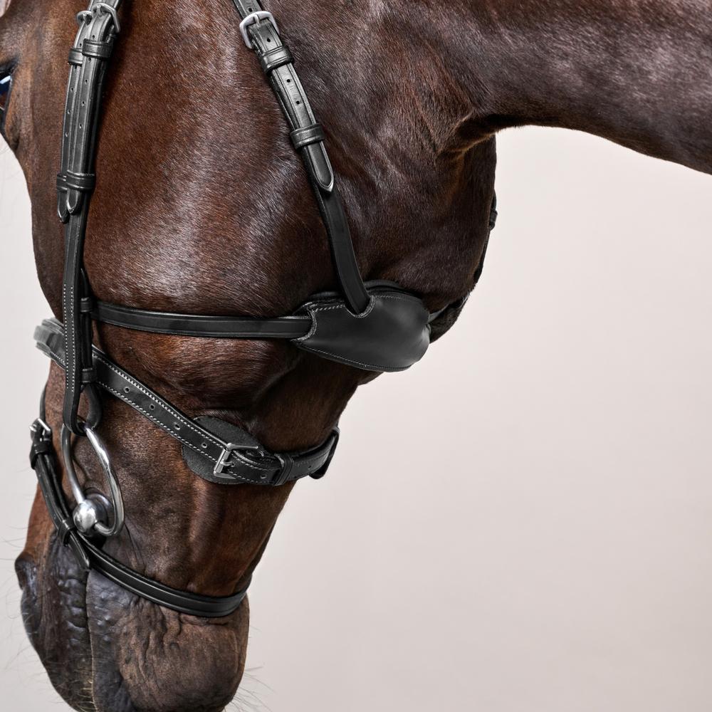 Difference Bridle NE | Dy'on | DurableLeather — Image 14