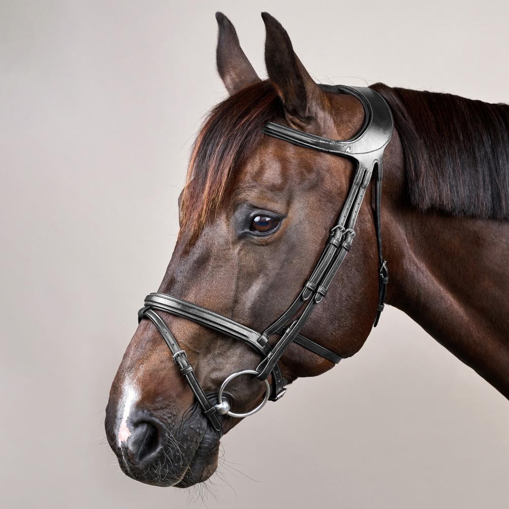 Difference Bridle NE | Dy'on | DurableLeather — Image 9