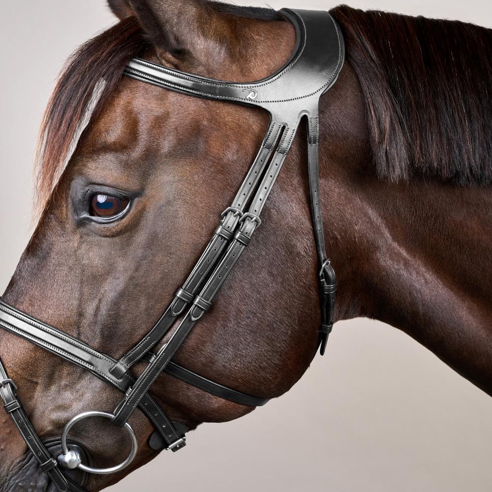 Difference Bridle NE | Dy'on | DurableLeather — Image 10