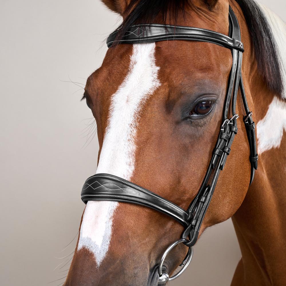 Anatomic Noseband Without Flash |  | — Image 5