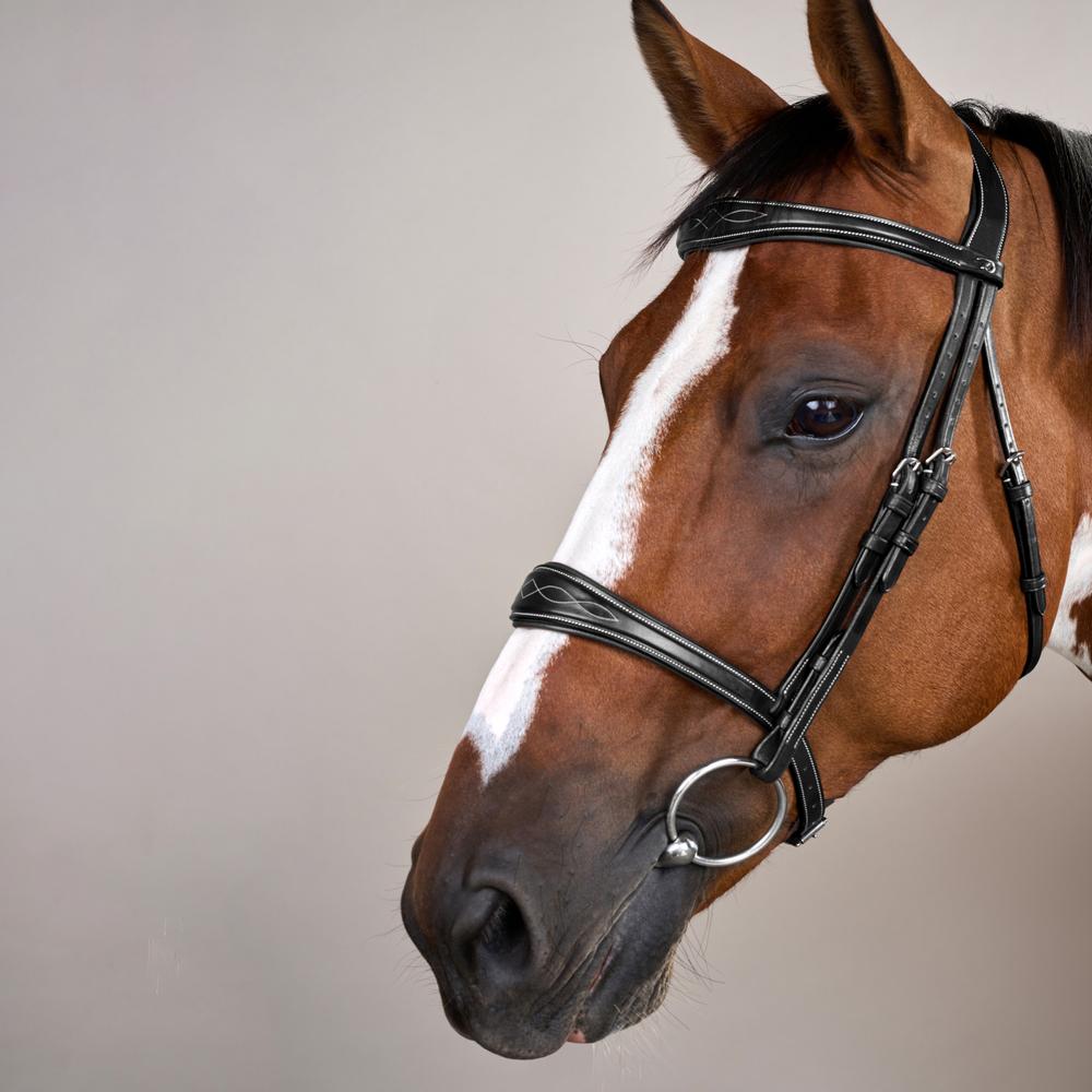 Anatomic Noseband Without Flash |  | — Image 4