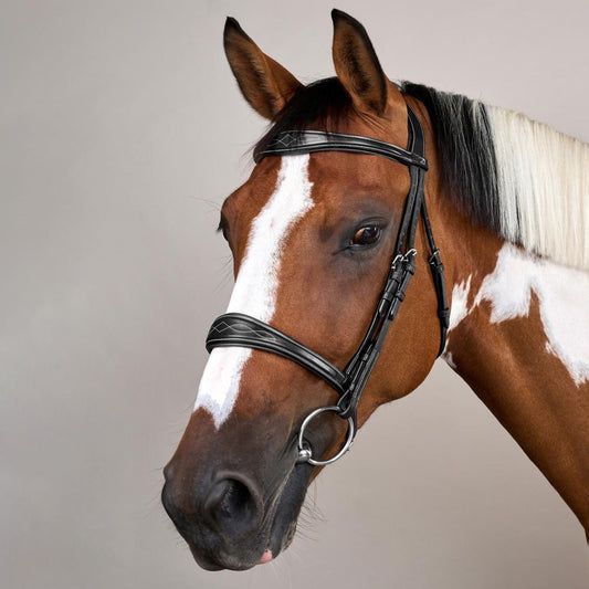 Anatomic Noseband Without Flash |  | — Image 2