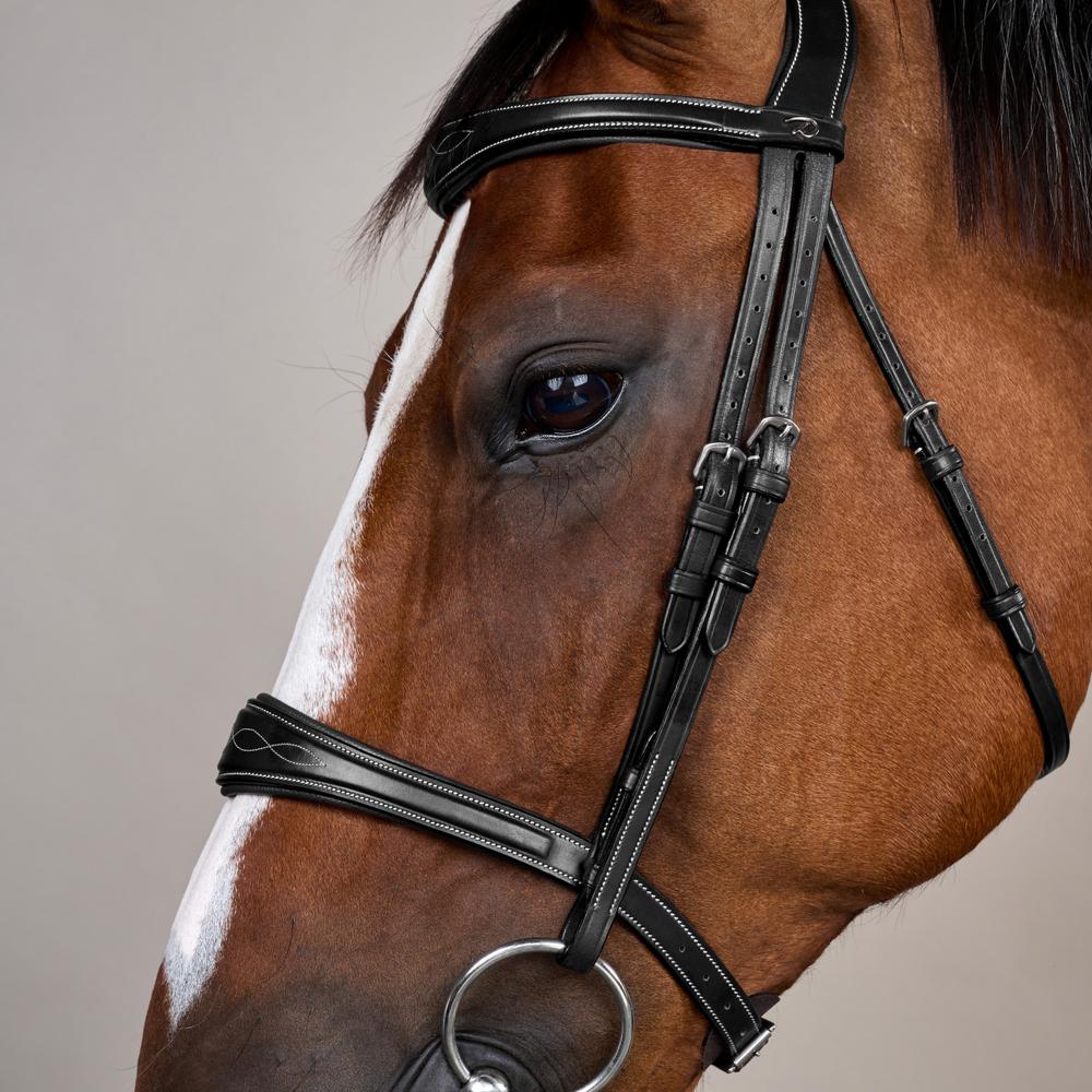 Anatomic Noseband Without Flash |  | — Image 3