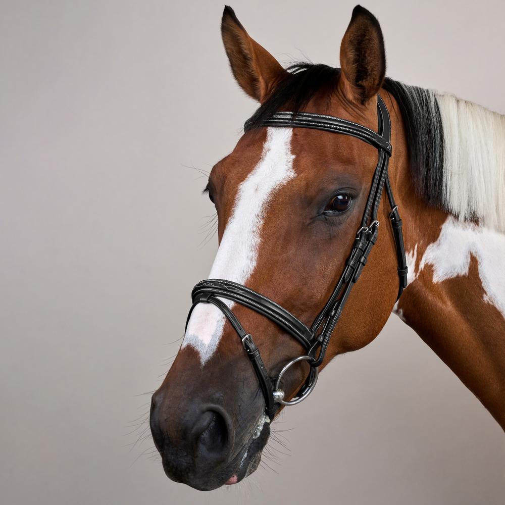Flash Noseband Bridle US | Dy'on | elegantdesign — Image 8