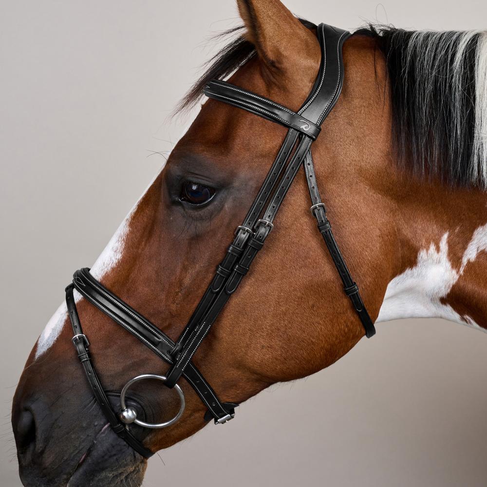 Flash Noseband Bridle US | Dy'on | elegantdesign — Image 9