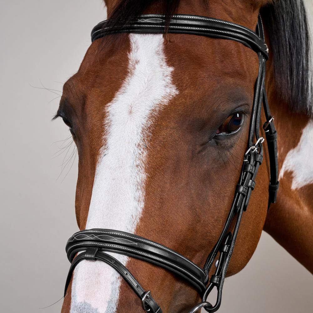 Flash Noseband Bridle US | Dy'on | elegantdesign — Image 10