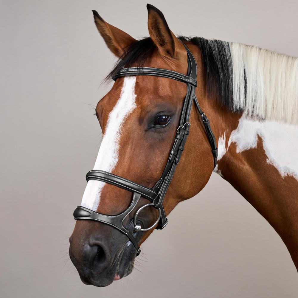 Double Noseband Bridle US | Dy'on | elegantdesign — Image 10