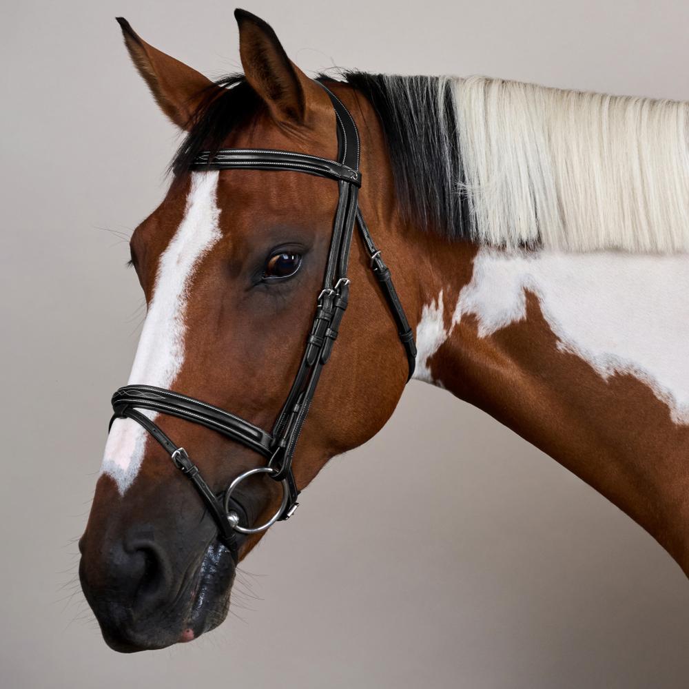 Flash Noseband Bridle US | Dy'on | elegantdesign — Image 7