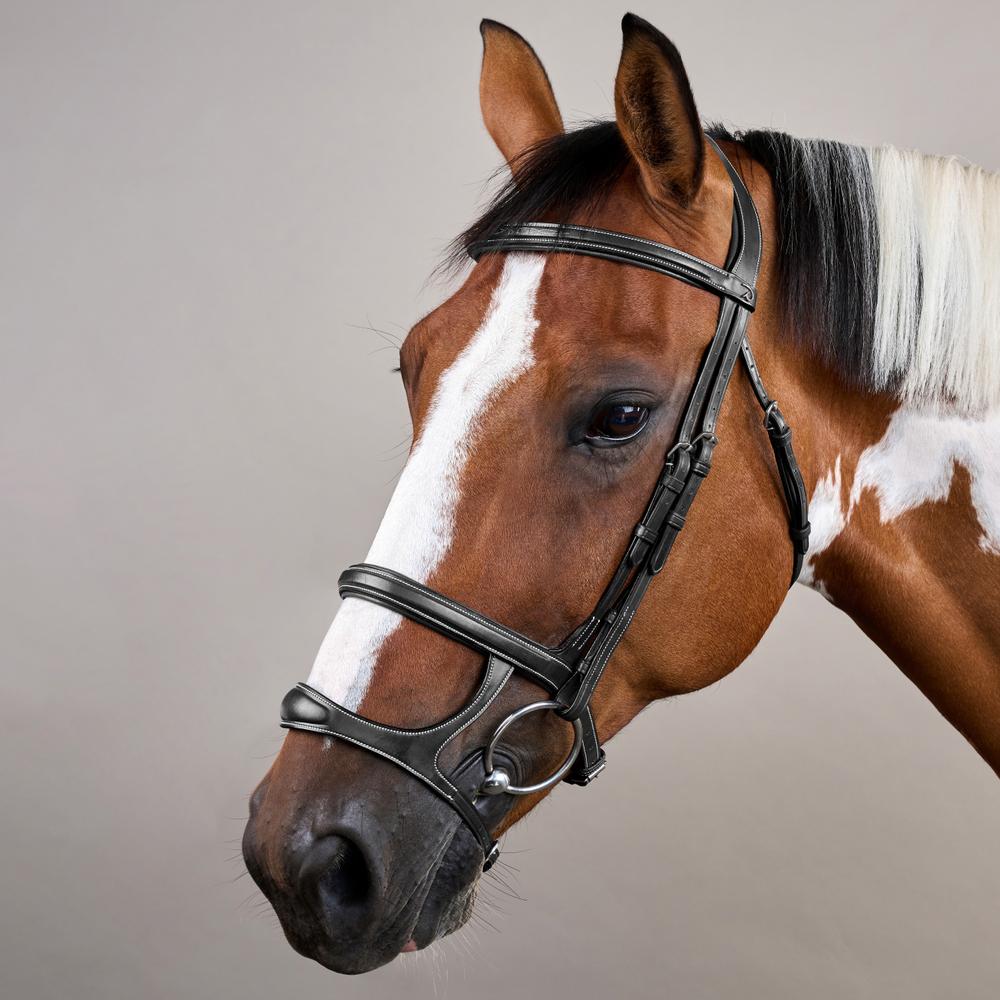 Double Noseband Bridle US | Dy'on | elegantdesign — Image 7