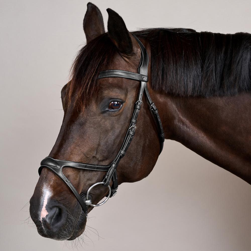X-Fit Bridle US | Dy'on | comfort — Image 7