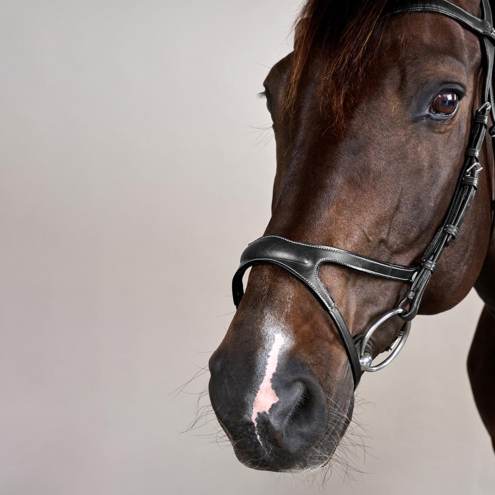 X-Fit Bridle US | Dy'on | comfort — Image 10