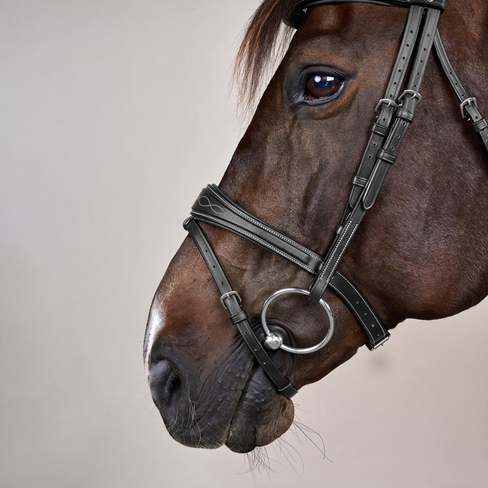 Anatomic Flash Noseband Bridle US | Dy'on | ErgonomicComfort — Image 9