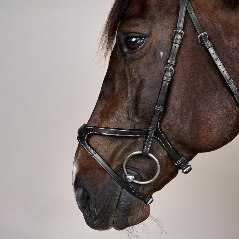 X-Fit Bridle US | Dy'on | comfort — Image 9
