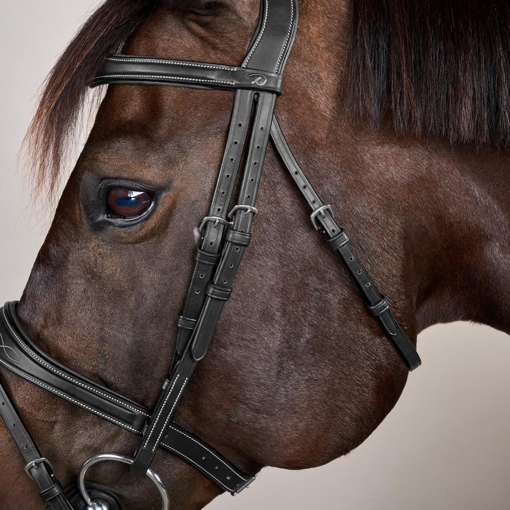 Anatomic Flash Noseband Bridle US | Dy'on | ErgonomicComfort — Image 8