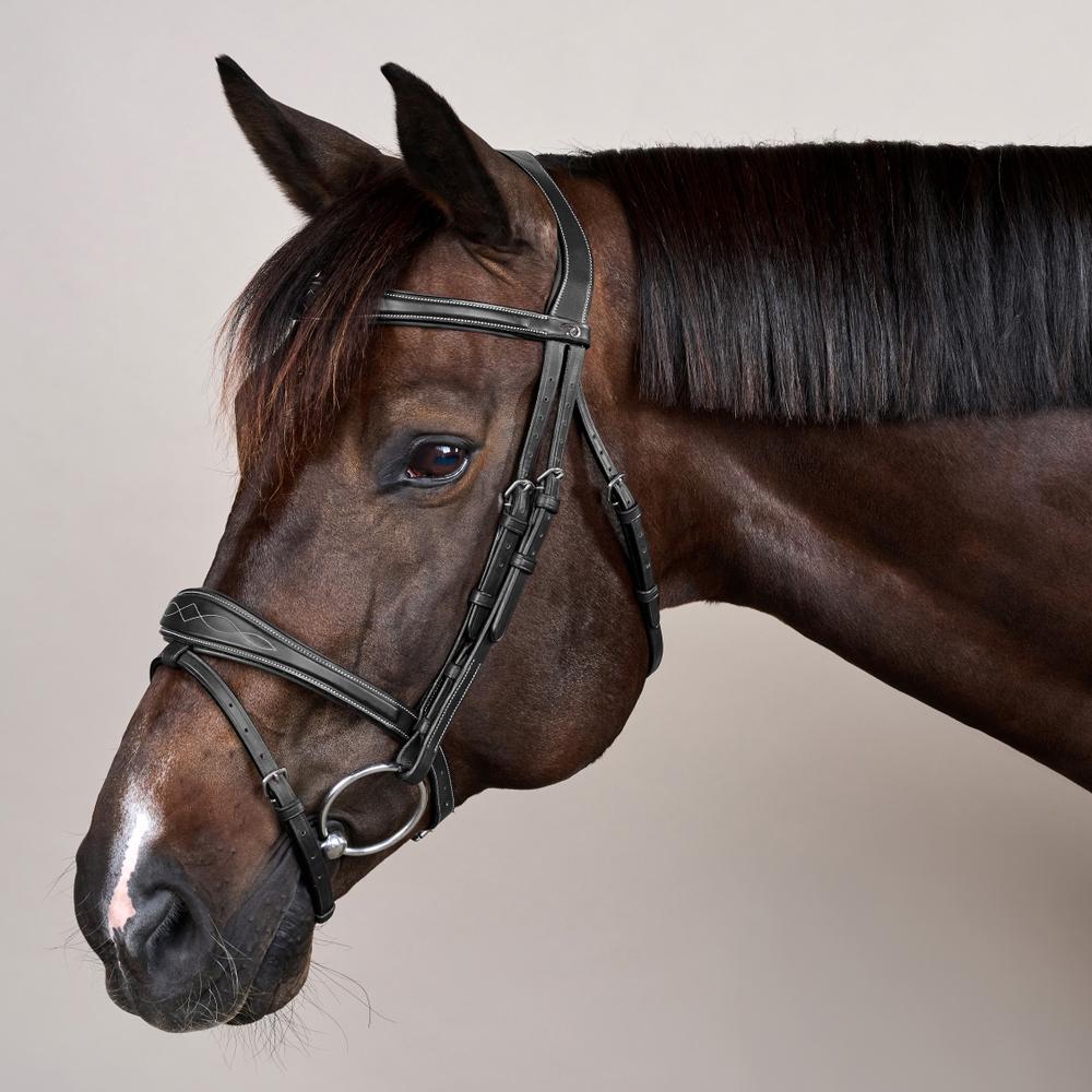 Anatomic Flash Noseband Bridle US | Dy'on | ErgonomicComfort — Image 7