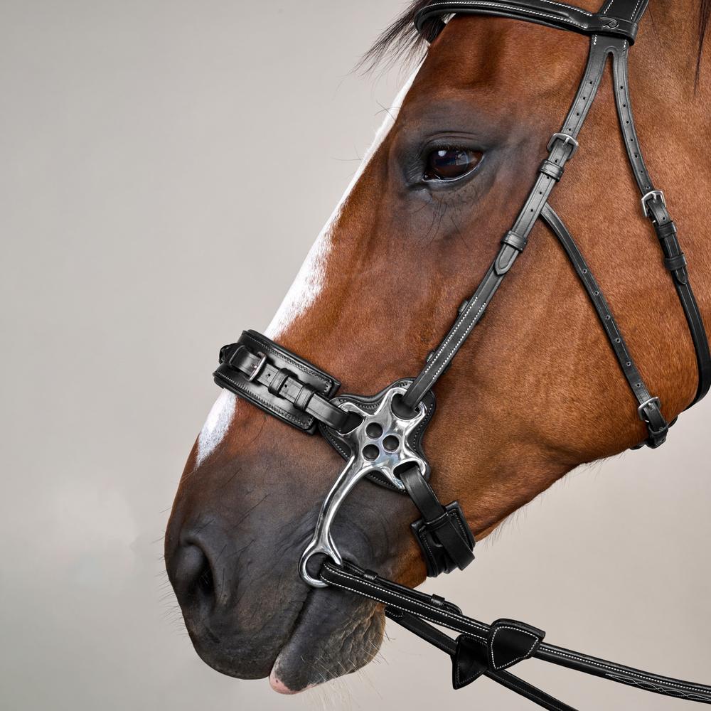 Hackamore Bridle US | Dy'on | Control — Image 11