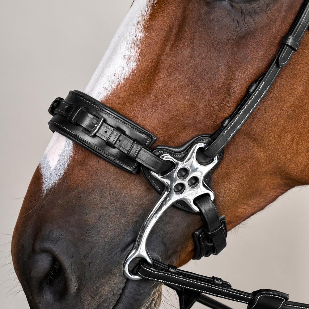 Hackamore Bridle US | Dy'on | Control — Image 12