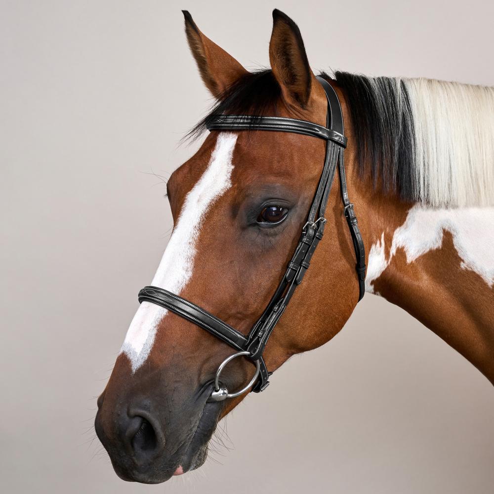 Cavesson Noseband Bridle US | Dy'on | Elegance — Image 7
