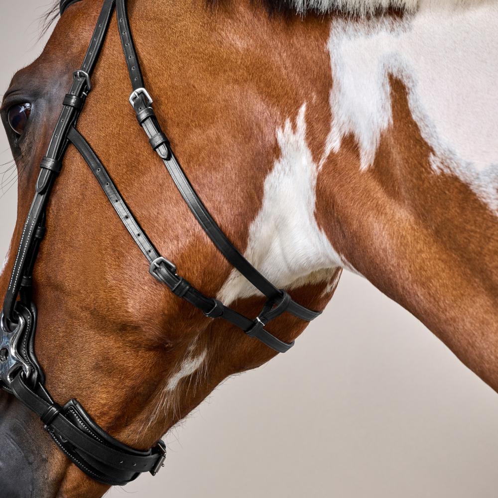 Hackamore Bridle US | Dy'on | Control — Image 14