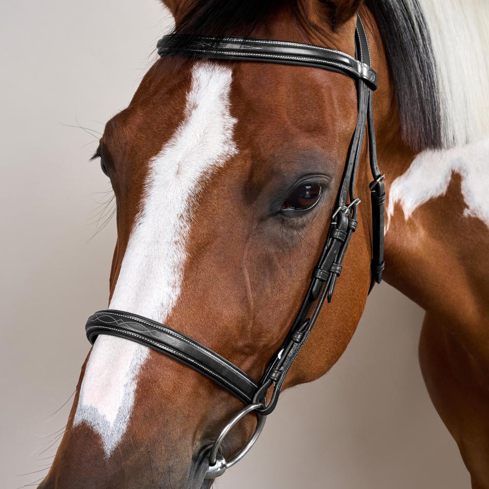 Cavesson Noseband Bridle US | Dy'on | Elegance — Image 9
