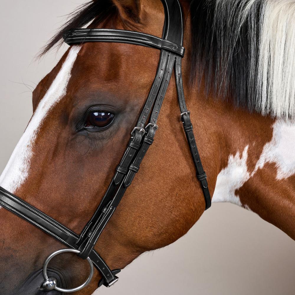 Cavesson Noseband Bridle US | Dy'on | Elegance — Image 8
