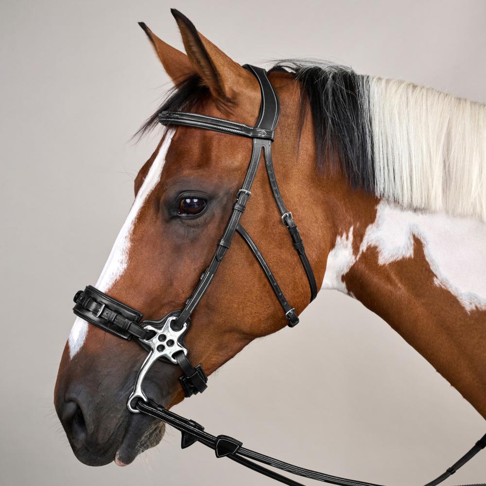 Hackamore Bridle US | Dy'on | Control — Image 10