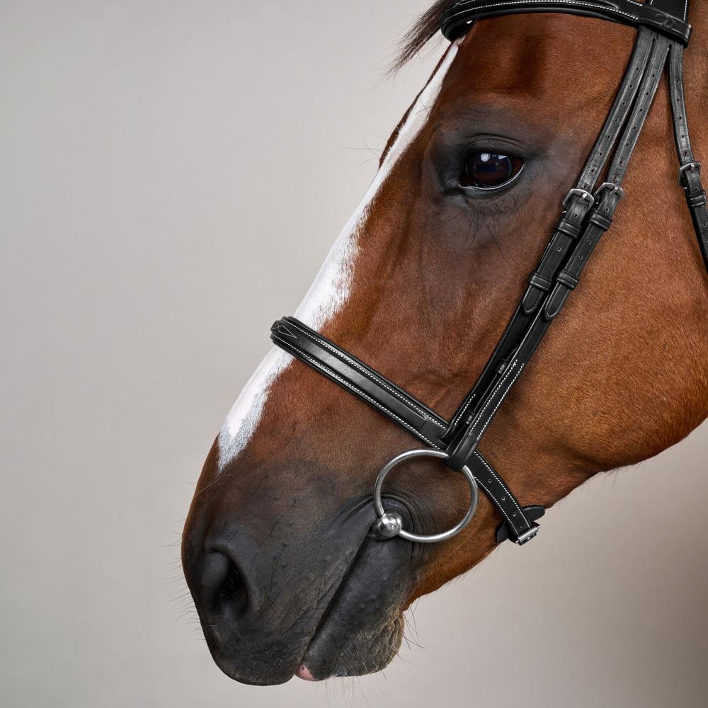 Cavesson Noseband Bridle US | Dy'on | Elegance — Image 10