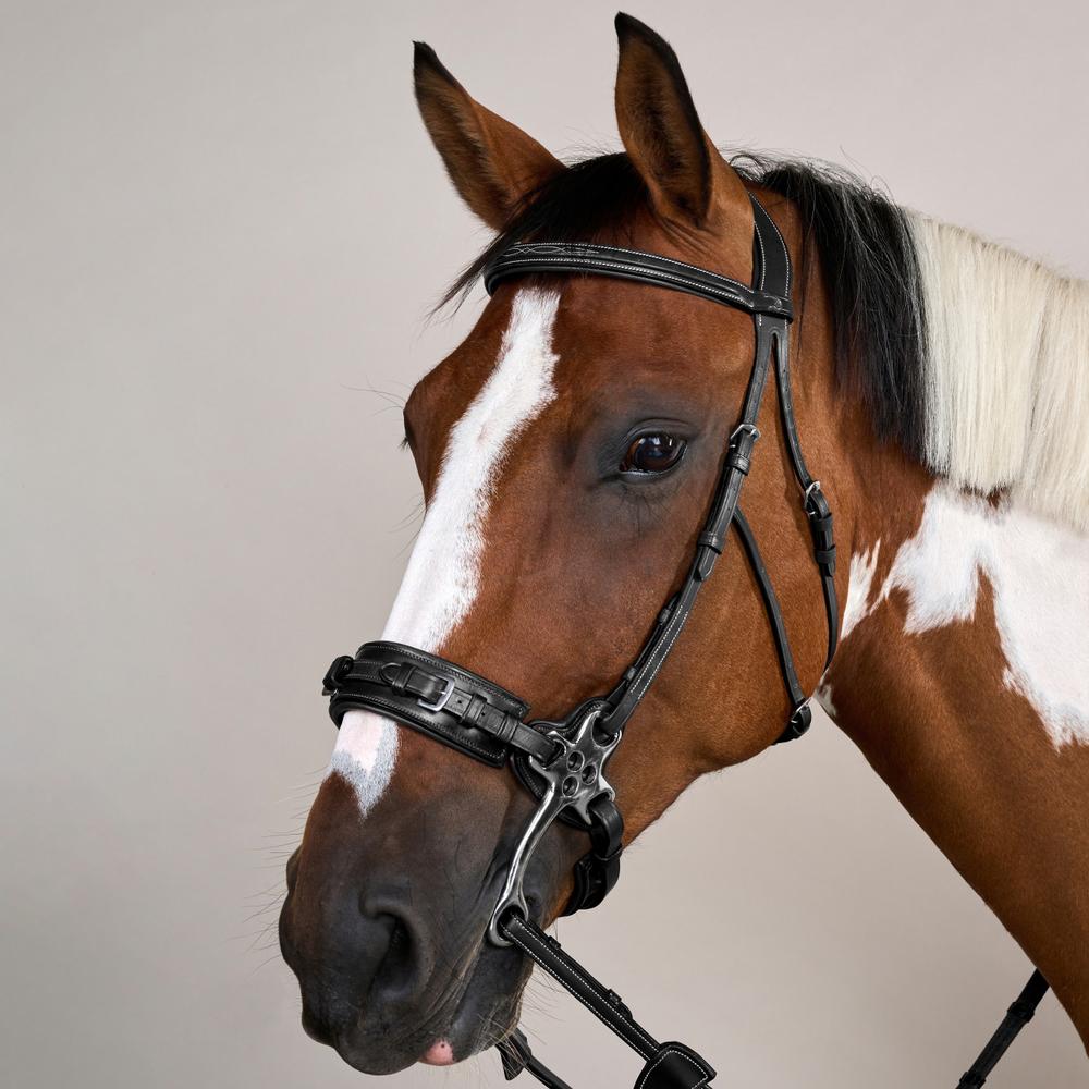 Hackamore Bridle US | Dy'on | Control — Image 9