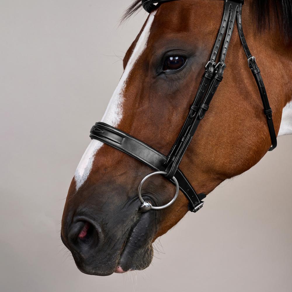 Wide Noseband Hunter Bridle US | Dy'on | elegantcomfort — Image 9