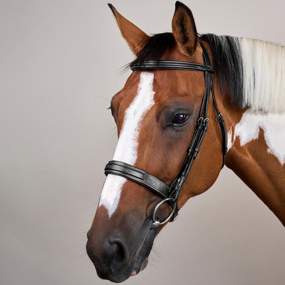Wide Noseband Hunter Bridle US | Dy'on | elegantcomfort — Image 7