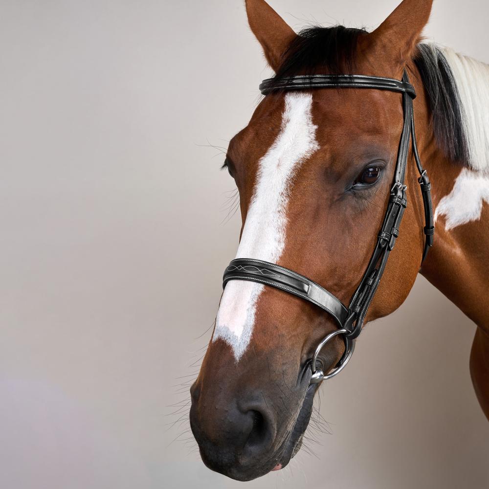 Cavesson Hunter Noseband Bridle US | Dy'on | elegance — Image 10